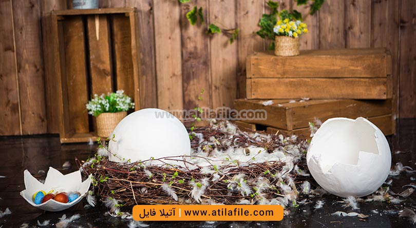 دانلود بکگراند دکور پوسته تخم مرغ