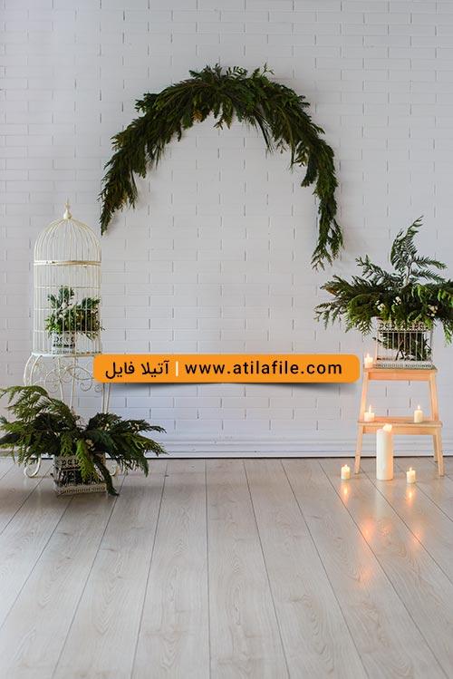 بک گراند عکس عروس و داماد