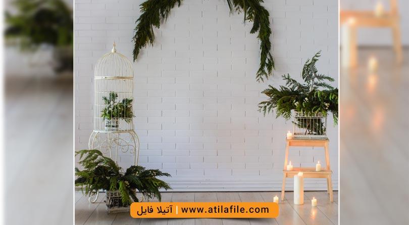 بک گراند عکس عروس و داماد